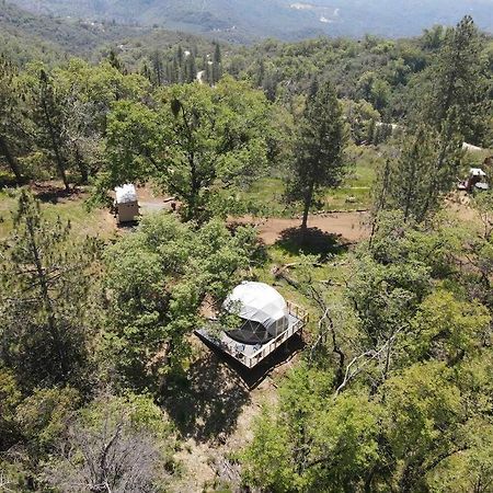 Enchanted Forest Dome ,10-15 Minutes To Kings Canyons-New Pellet Stove For Cozy Warm Nights Dunlap المظهر الخارجي الصورة