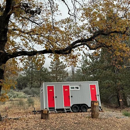 Enchanted Forest Dome ,10-15 Minutes To Kings Canyons-New Pellet Stove For Cozy Warm Nights Dunlap المظهر الخارجي الصورة