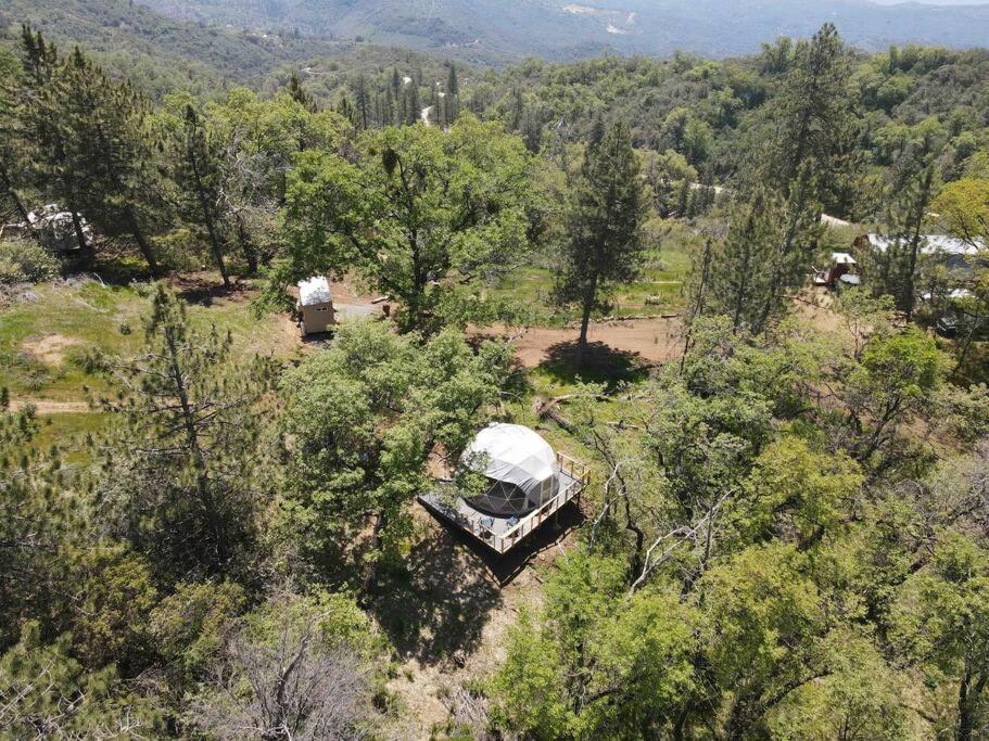 Enchanted Forest Dome ,10-15 Minutes To Kings Canyons-New Pellet Stove For Cozy Warm Nights Dunlap المظهر الخارجي الصورة